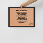 ILLTOCHILL CRPS Poster
