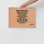 ILLTOCHILL CRPS Poster