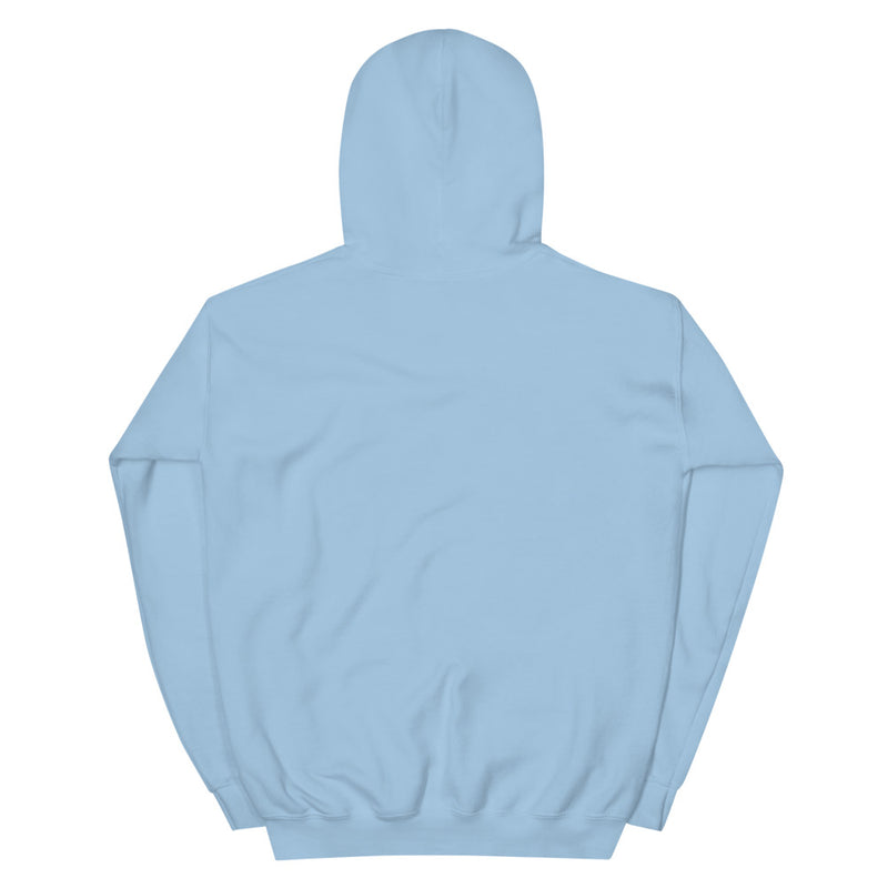 Light Blue Hoodie Back 1 - ILLTOCHILL Asthma Reminder quote, Asthma awareness Gift Unisex Hoodie