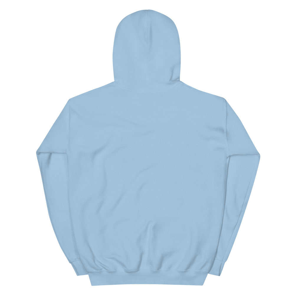 Light Blue Hoodie Back 1 - ILLTOCHILL Endometriosis awareness educational quote endo gift Unisex Hoodie.