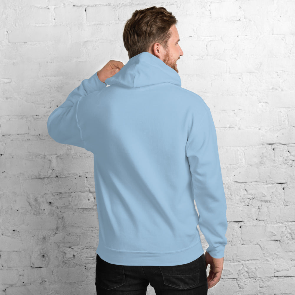 Light Blue Hoodie Back 3 - ILLTOCHILL Endometriosis awareness educational quote endo gift Unisex Hoodie.