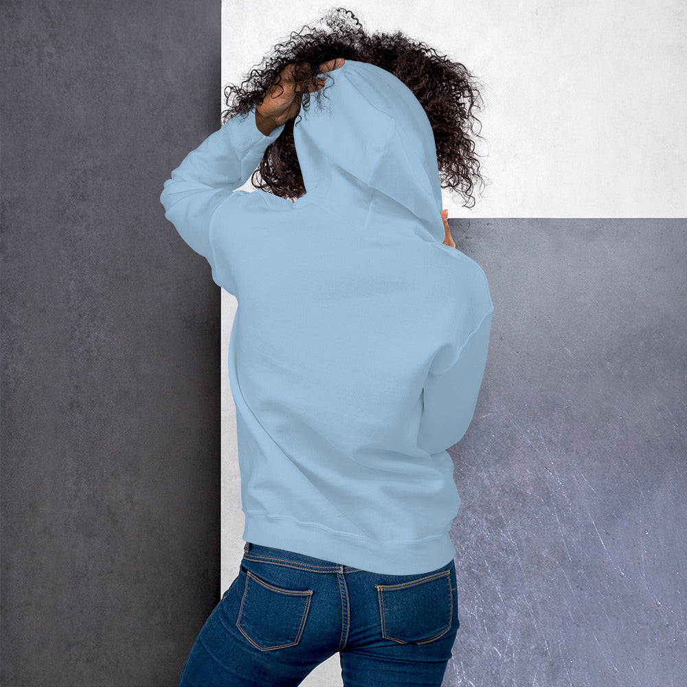 Light Blue Hoodie Back 4 - ILLTOCHILL Endometriosis awareness educational quote endo gift Unisex Hoodie.
