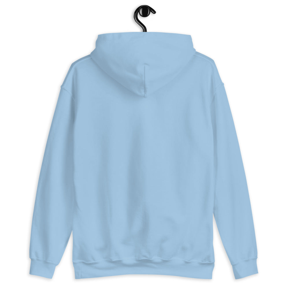 Light Blue Hoodie Back 2 - ILLTOCHILL 'Lupus Painsomnia' Autoimmune disease lupus awareness gift Unisex Hoodie.