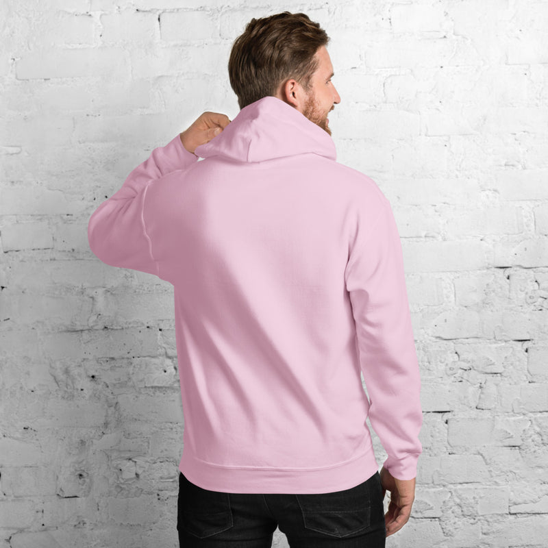 Light Pink Hoodie Back 3 - ILLTOCHILL Asthma Reminder quote, Asthma awareness Gift Unisex Hoodie