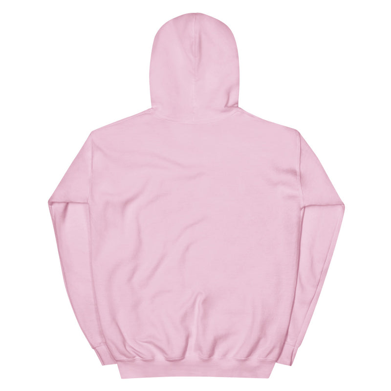 Light Pink Hoodie Back 1 - ILLTOCHILL Endometriosis awareness educational quote endo gift Unisex Hoodie.