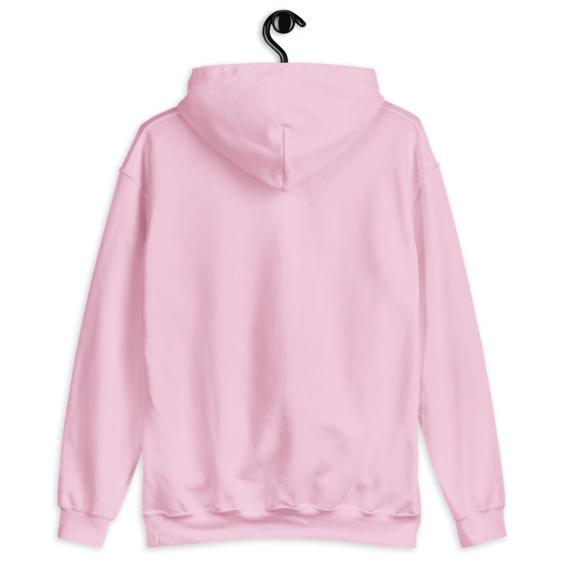 Light Pink Hoodie Back 2 - ILLTOCHILL Endometriosis awareness educational quote endo gift Unisex Hoodie.